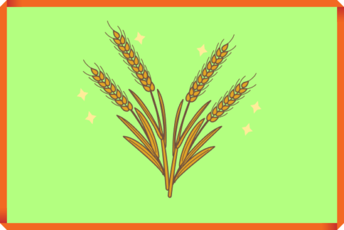 麦の画像