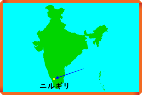 インド・ニルギリの地図